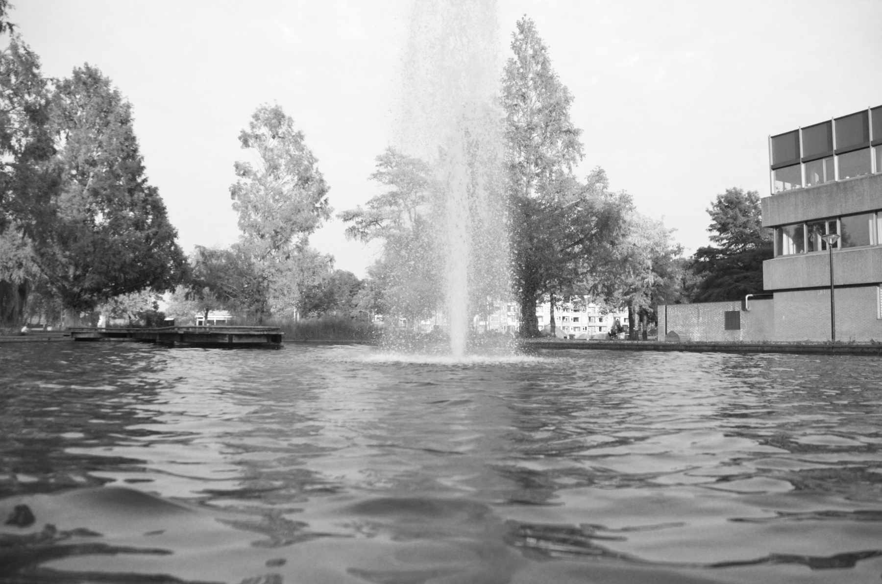 Gezien en gehoord in dorpen en wijken